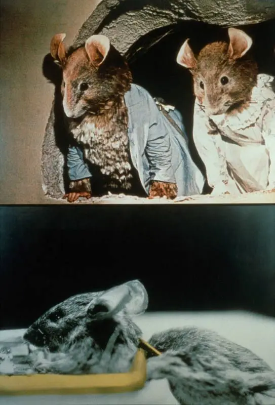 Two Onlookers and Tragedy (With Mice) by John Baldessari