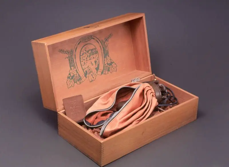 Double-Nose/Purse/Punching Bag/Ashtray by Claes Oldenburg