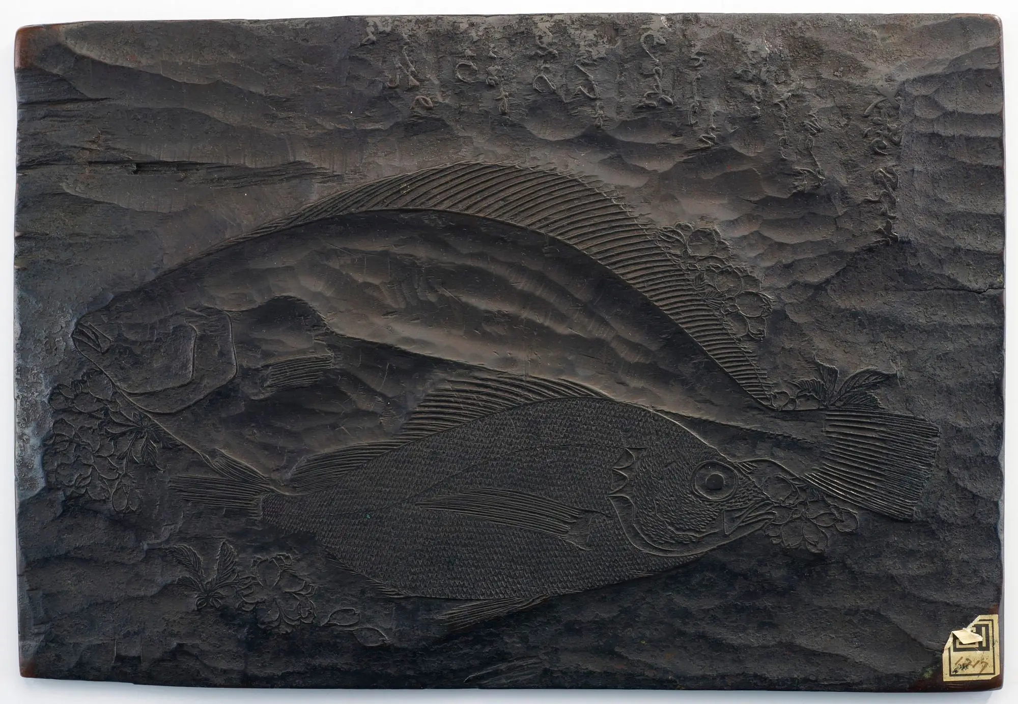 Woodblock for the design of Olive Halibut (hirame), Black Rockfish (mebaru), and sprig of cherry blossom, from an untitled series known as the "Large Fish" series by Utagawa Hiroshige 歌川広重