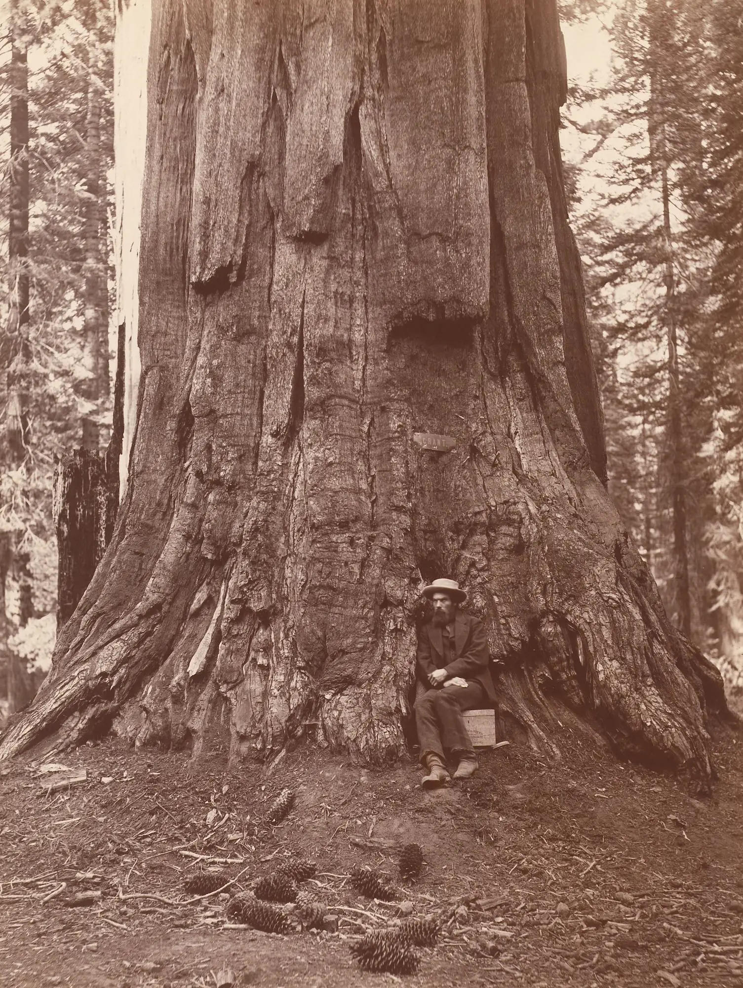 Eadweard Muybridge by Eadweard Muybridge, 9 Apr 1830 - 8 May 1904