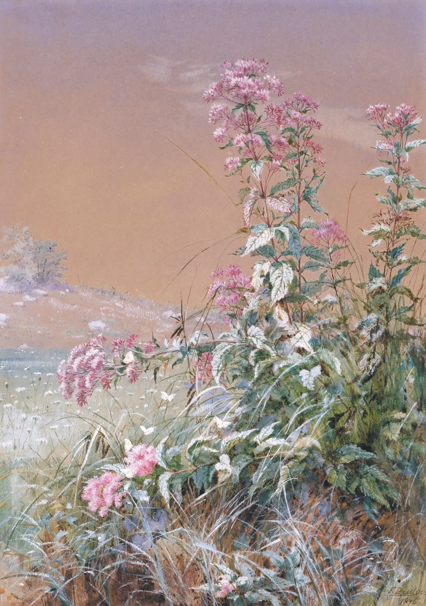 Untitled by Fidelia Bridges,