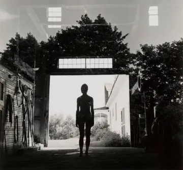 Buffalo #375 by Charles Swedlund, American