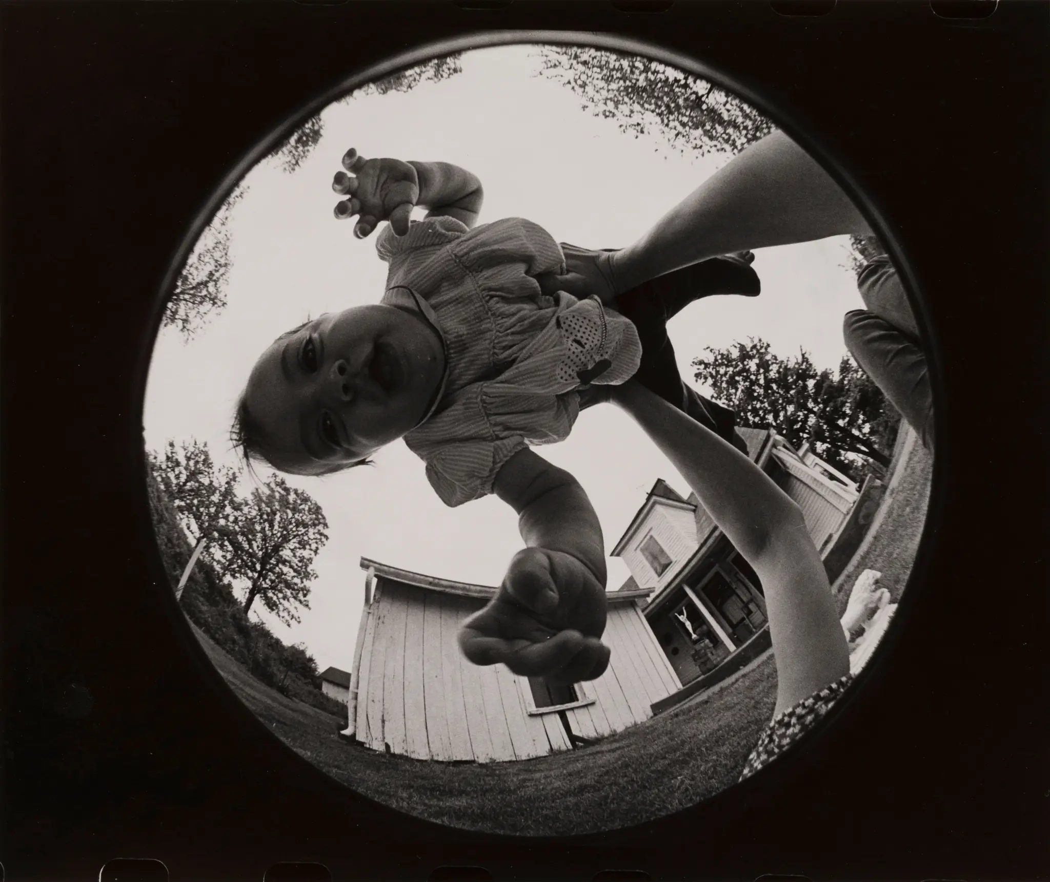 Baby (from Whole Show) by Charles Swedlund, American