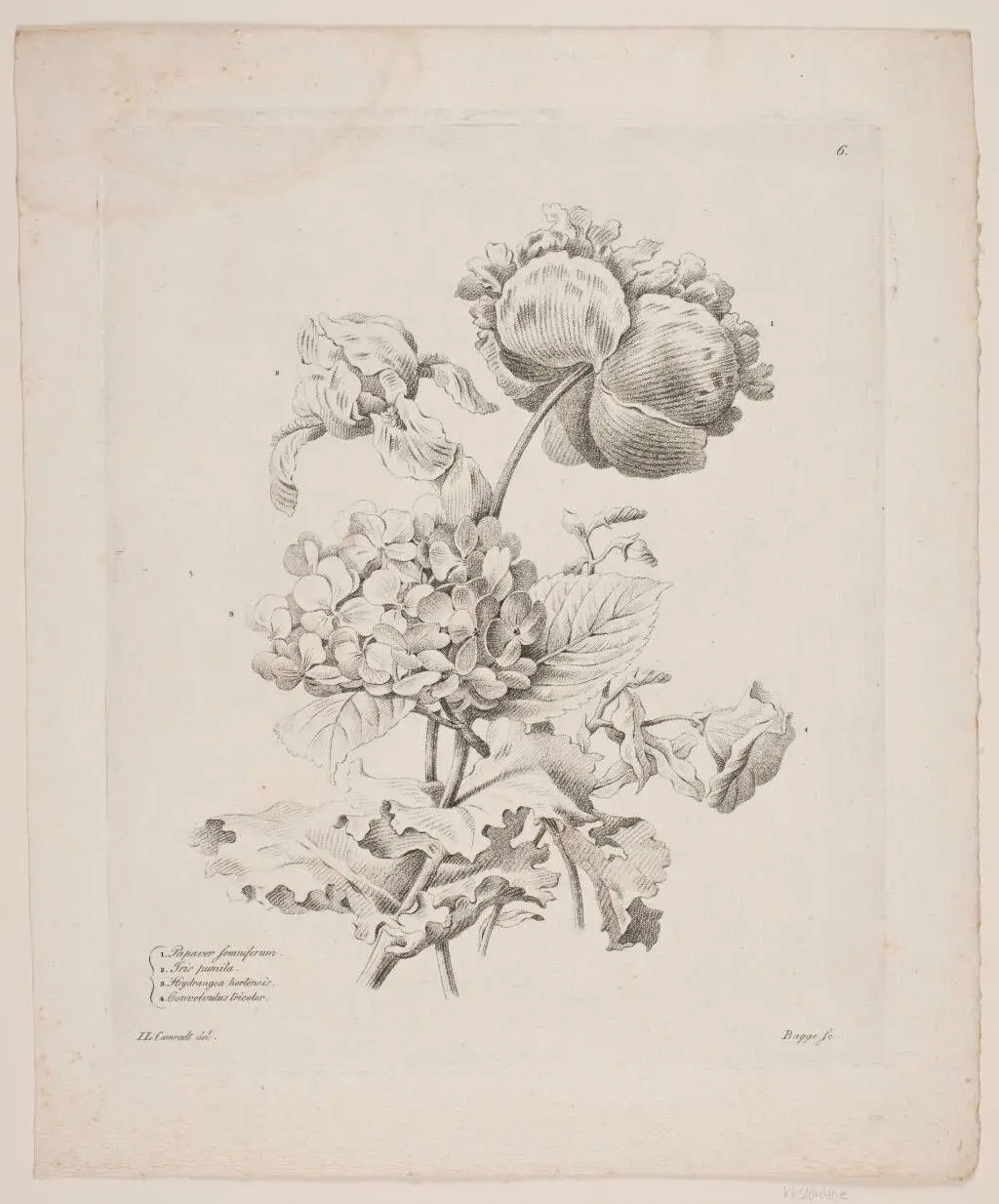 Blomster by Oluf Olufsen Bagge