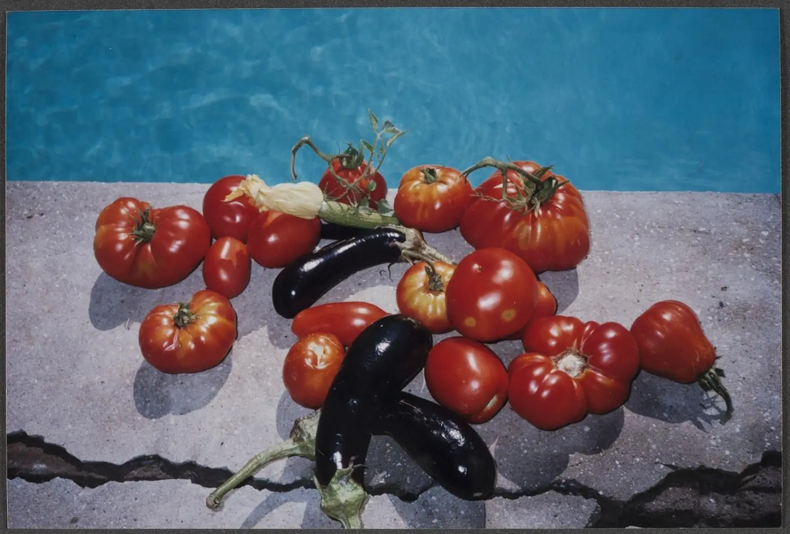 "Still life, Lucca. 1993" by Wolfgang Tillmans
