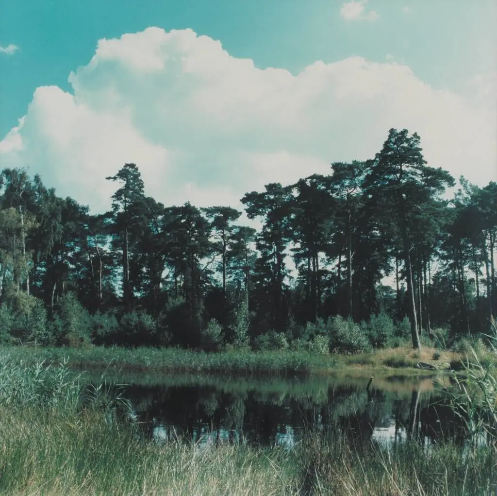 The Lake (The Lake with the boat at the bank) 1 by Peter Land