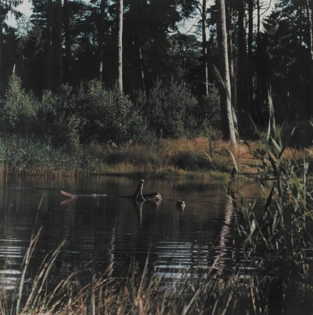 The Lake (Sunken boat) 12 by Peter Land
