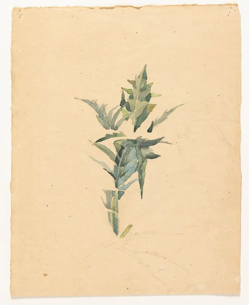 Blomster by Ubekendt