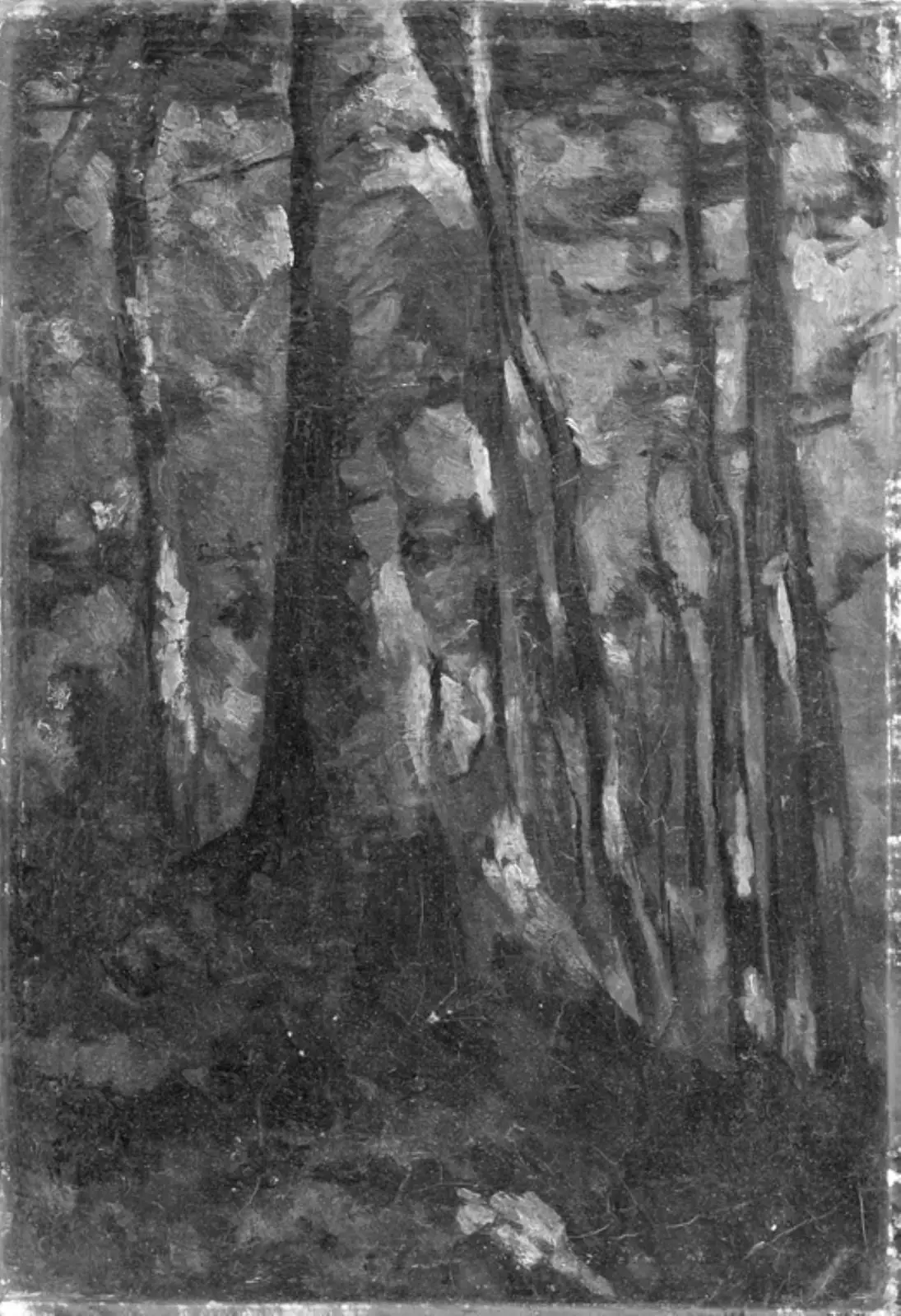 Det indre af en skov by Gustave Courbet