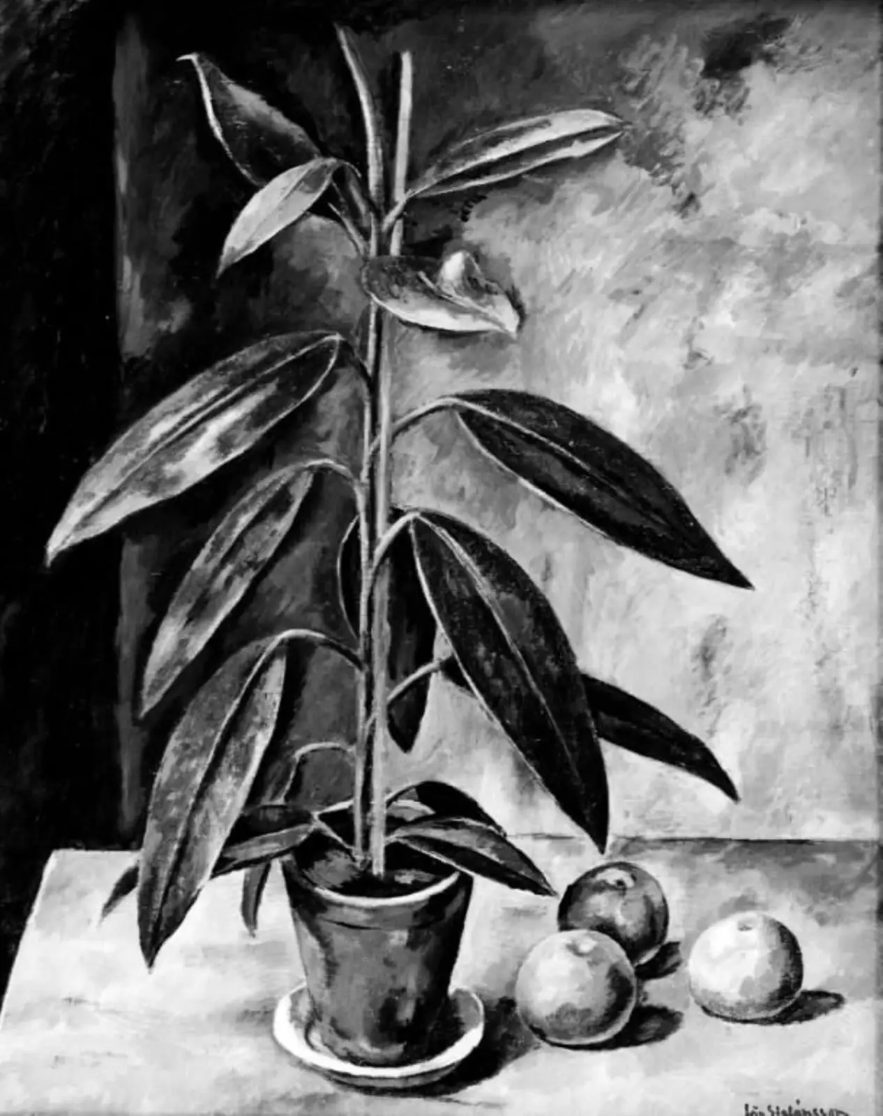 Stilleben by Jón Stefánsson