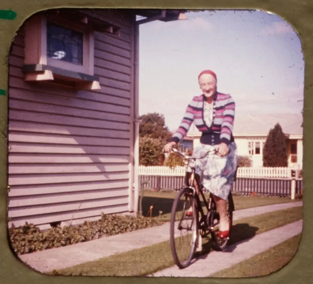 [Back Lawn] by Frank Lamb