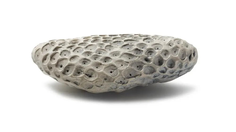 Fossil [1] by Len Castle