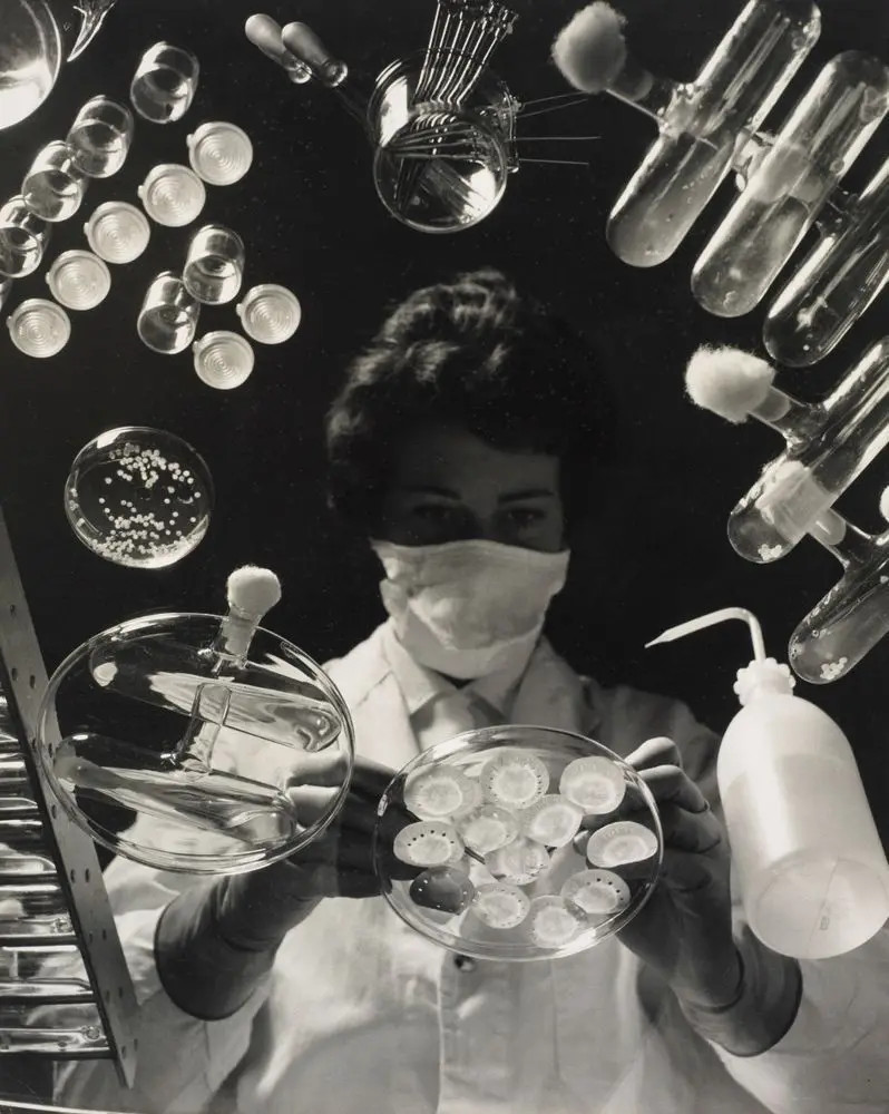 Tissue culture by Steve Rumsey