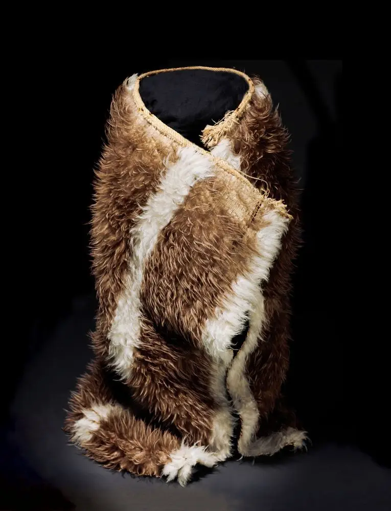 Kahu kiwi (kiwi feather cloak) by Unknown