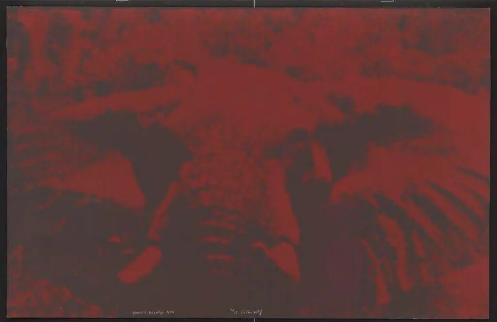 Power and Beauty by Colin Self