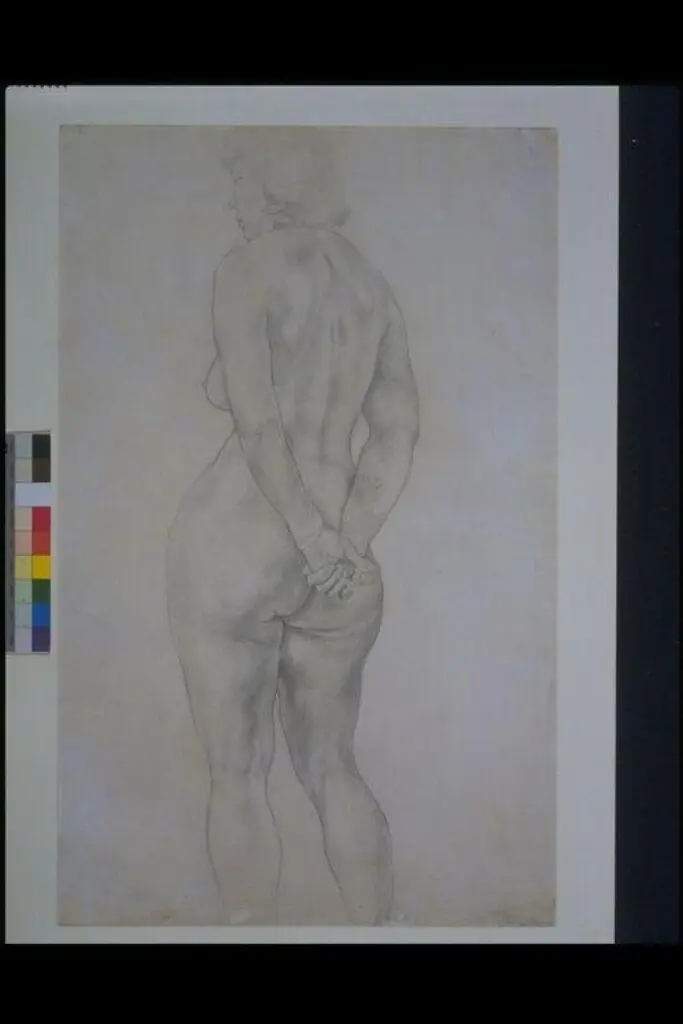 Study of a female nude, seen from behind by Stanley Spencer