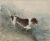 A dog watching a rat in the water at Dedham by Constable, John (RA)