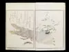 Picture Book: Selected Insects by Kitagawa Utamaro