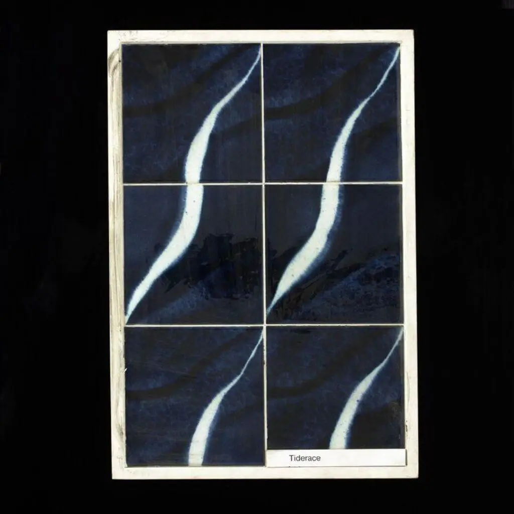 One Step On by Anderson, Sally