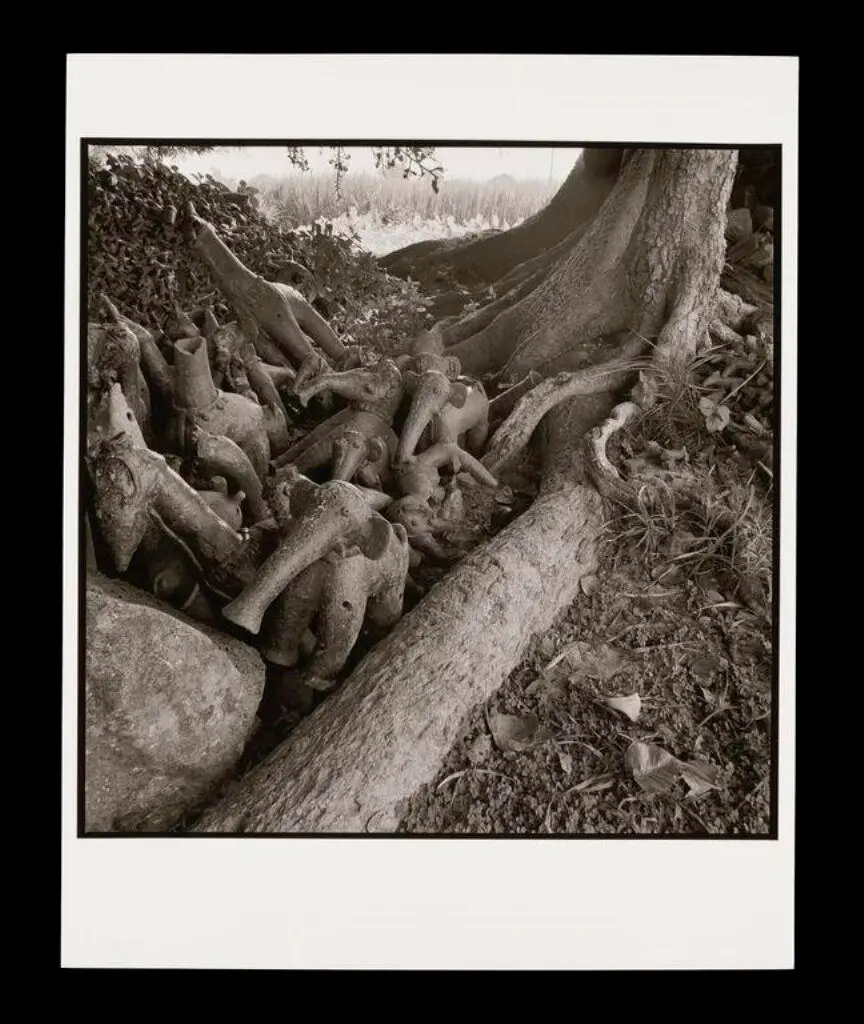 Untitled by Rosalind Fox Solomon