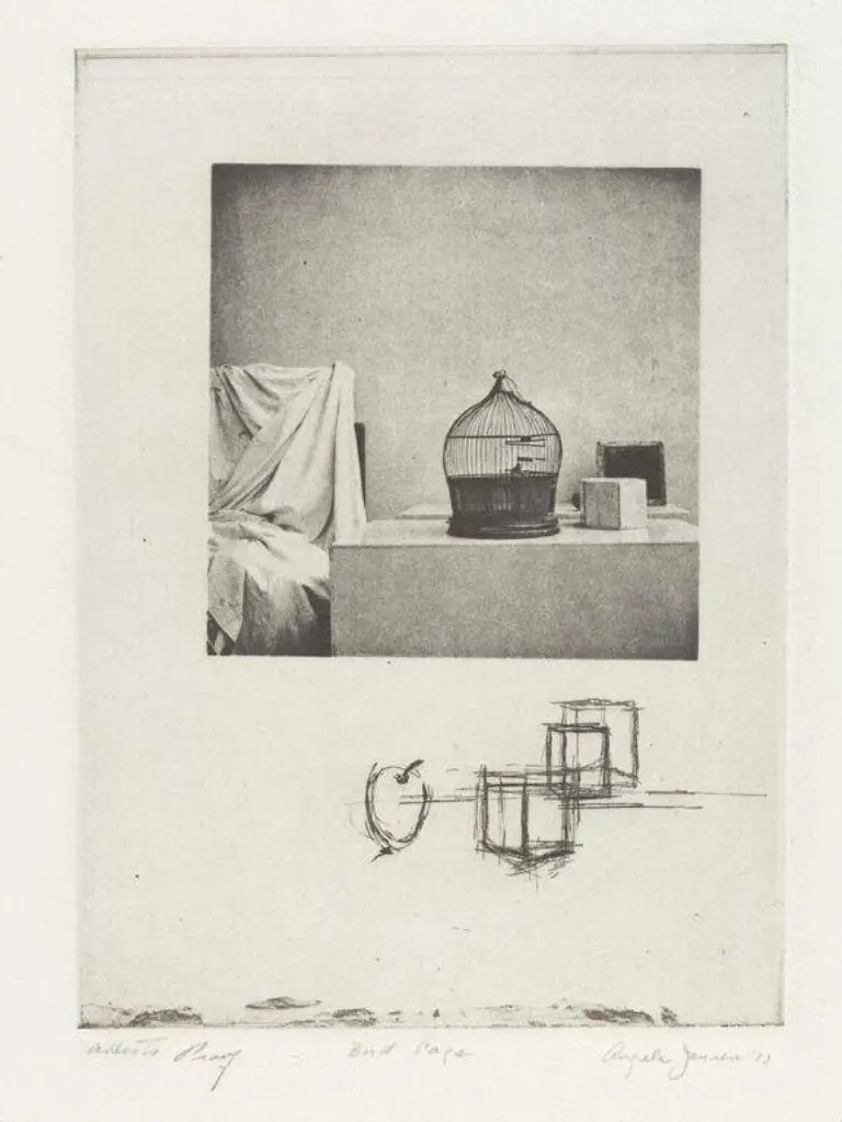 Bird cage by Jansen, Angela