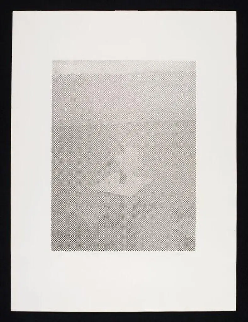 The Large Bird House by Tillyer, William