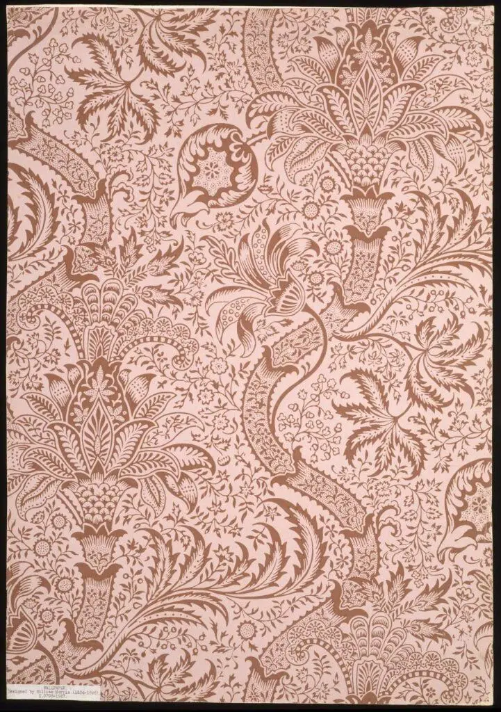 Indian by Morris, William