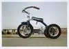 Tricycle, Memphis by Eggleston, William