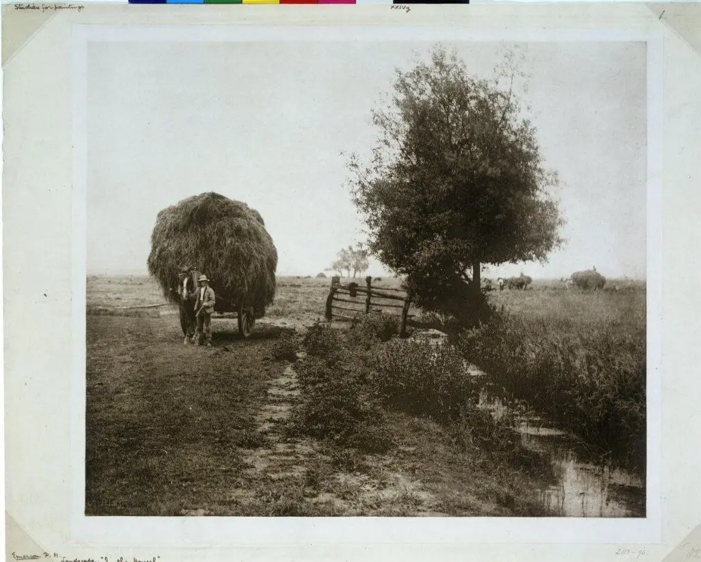 In the Haysel by Emerson, Peter Henry
