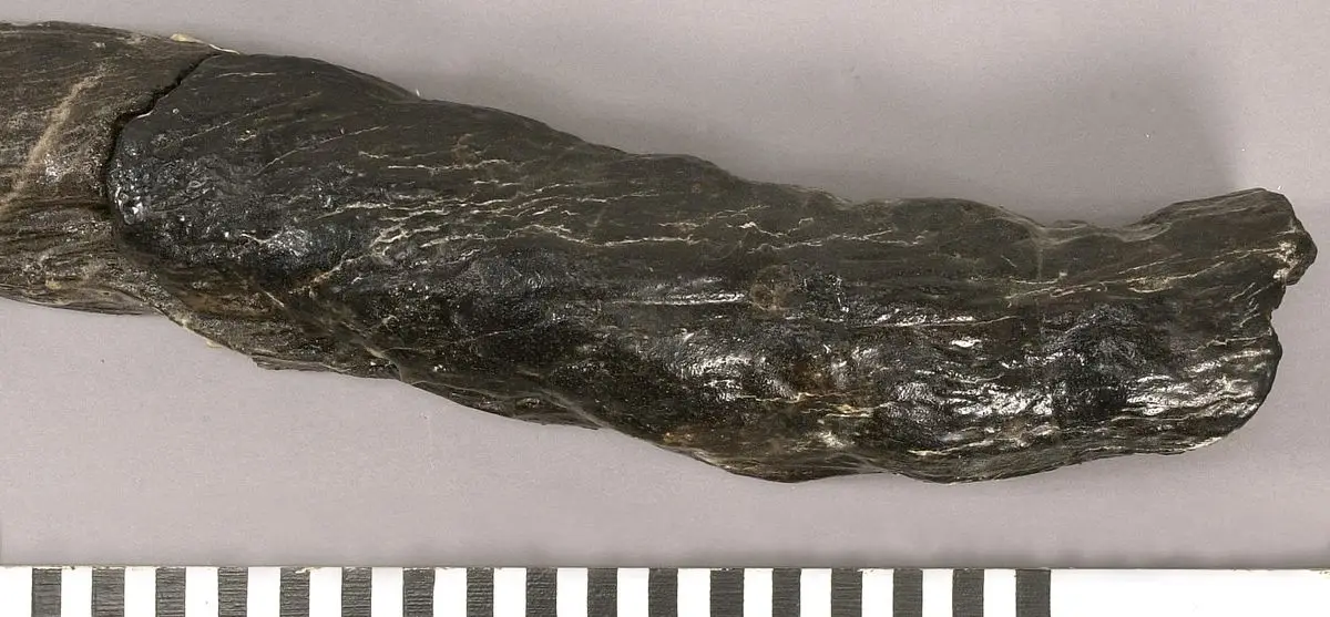 Svans by Unknown artist