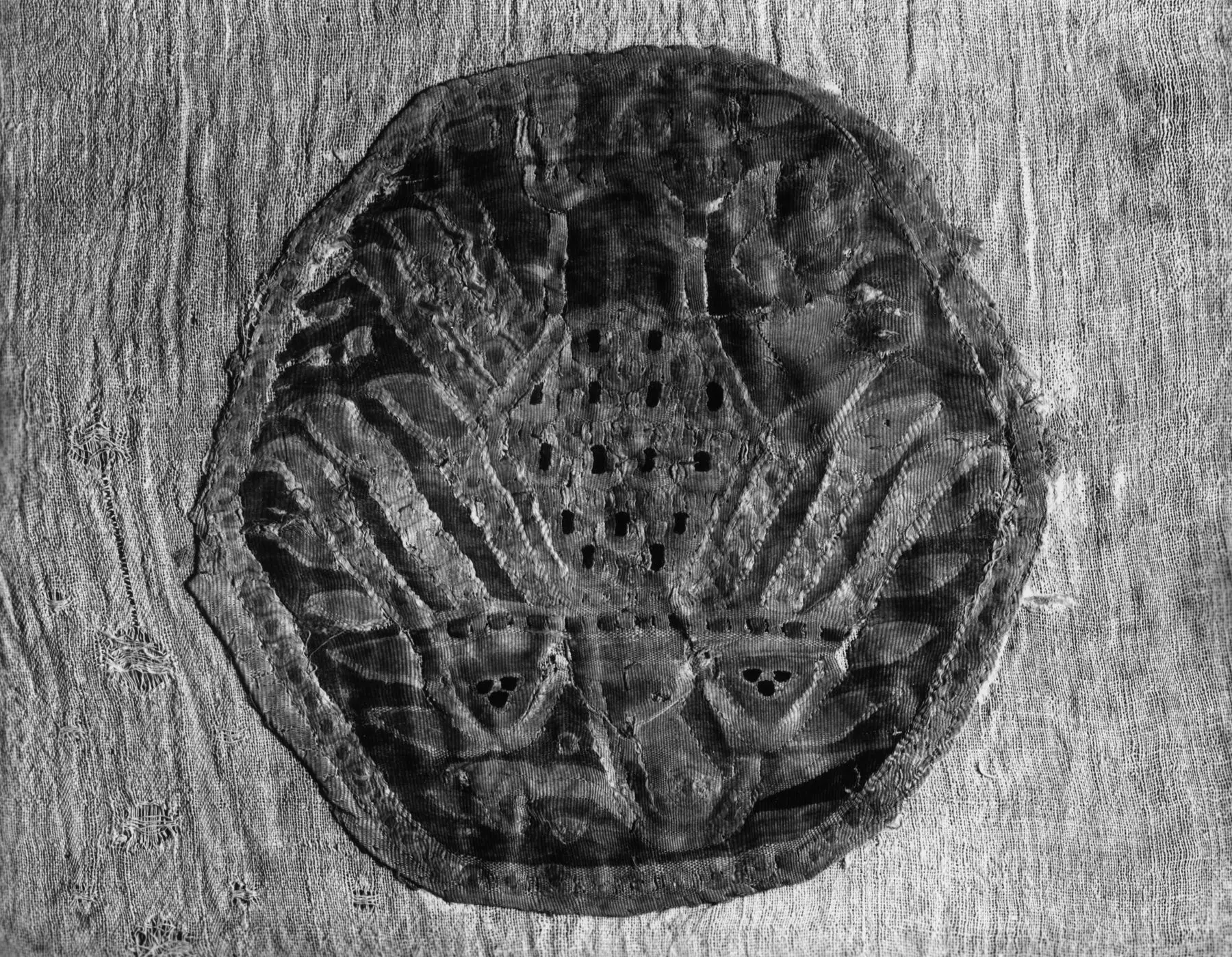 eagle by Islamic