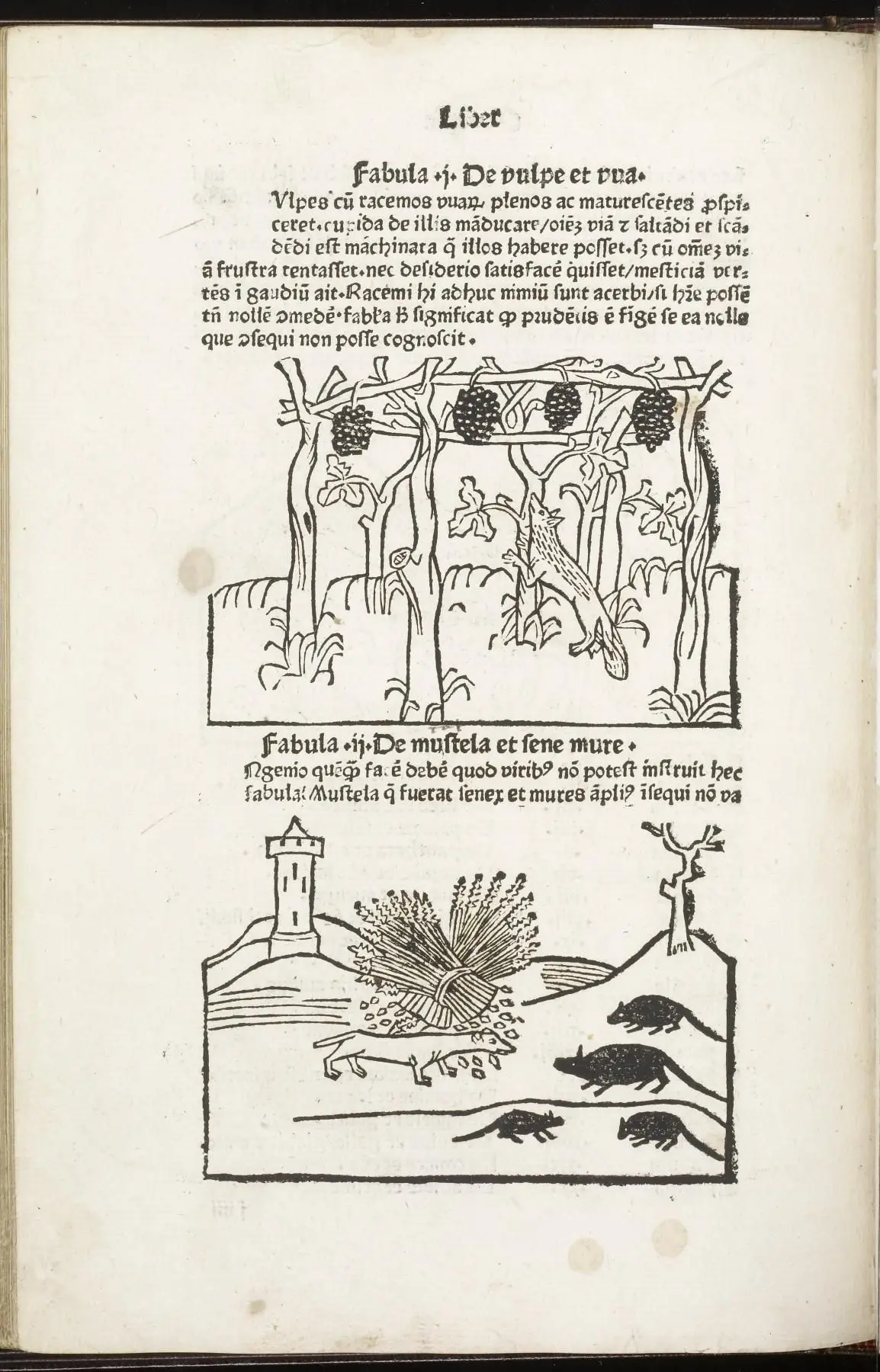 Fabulae, Lib/ I-IV by Aesop