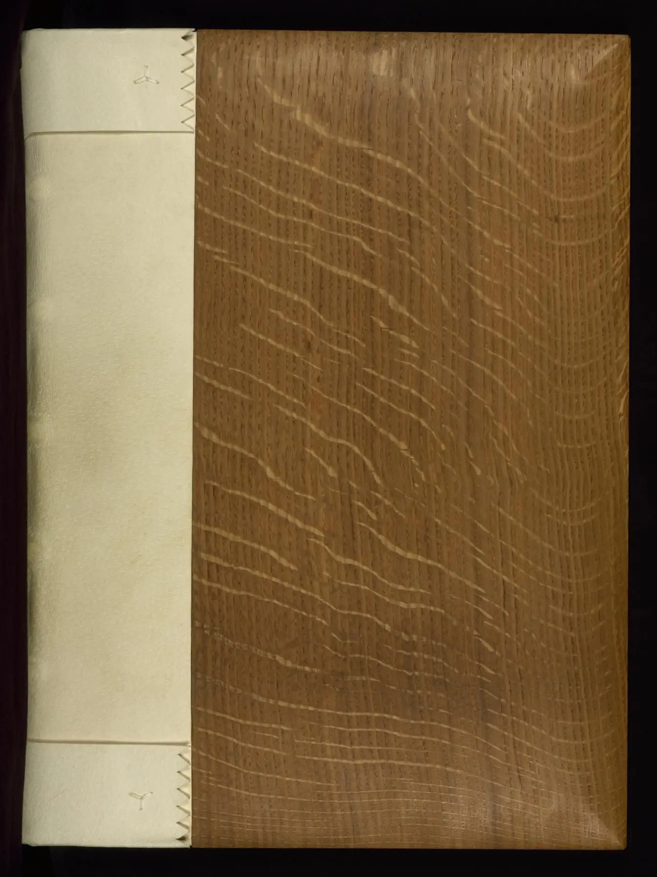 Rochester New Testament by English