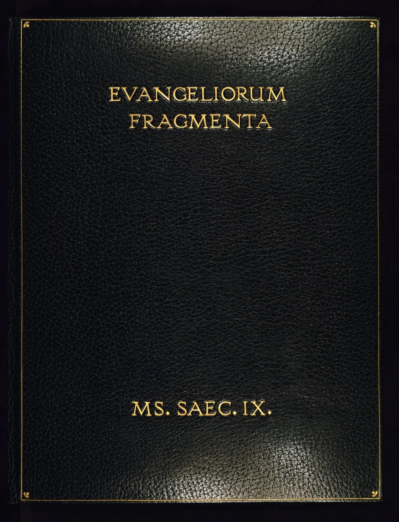 Corvey Gospel fragment by German