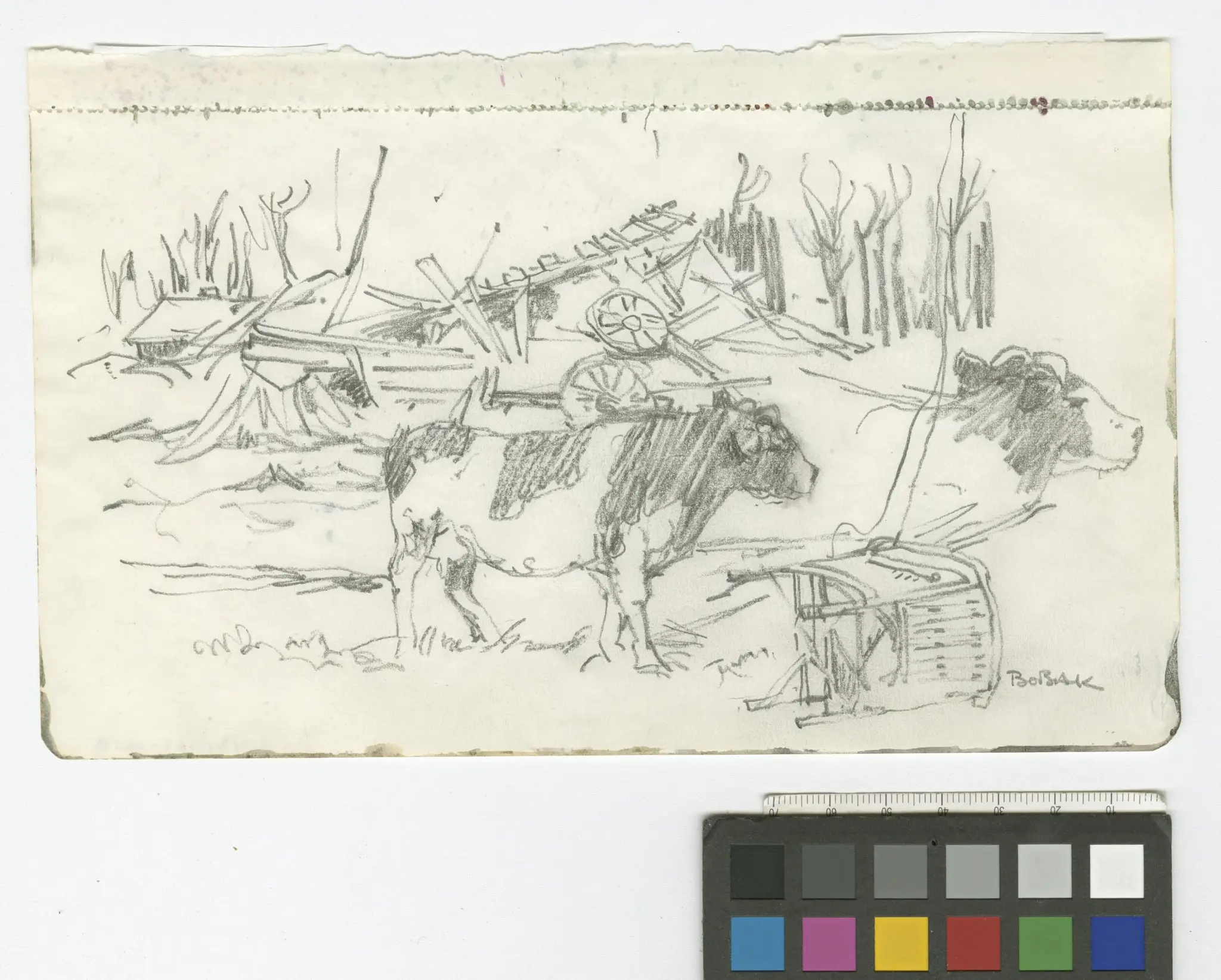 Untitled by Bobak , O.C., Captain Bruno Jacob by Bobak , O.C., Captain Bruno Jacob