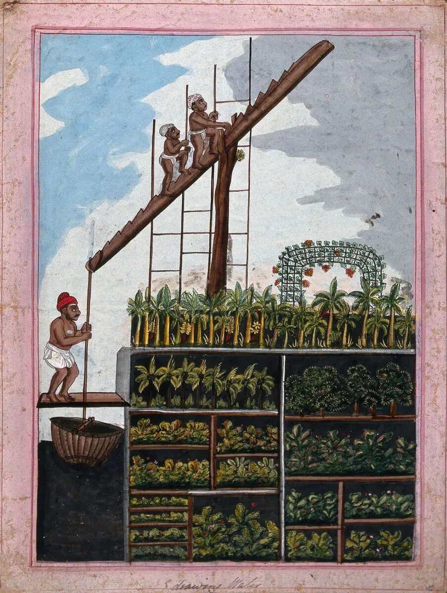 Indian agriculture: drawing water for crops. Gouache drawing. by Unknown artist