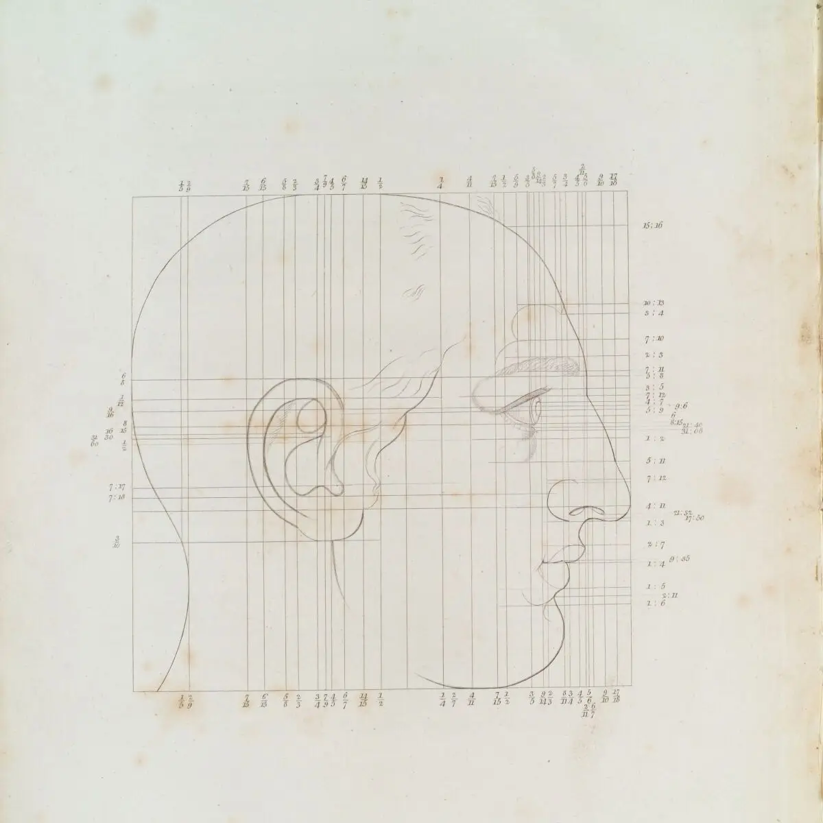 Drawing of a head showing the Harmonic scale in drawing by Hussey