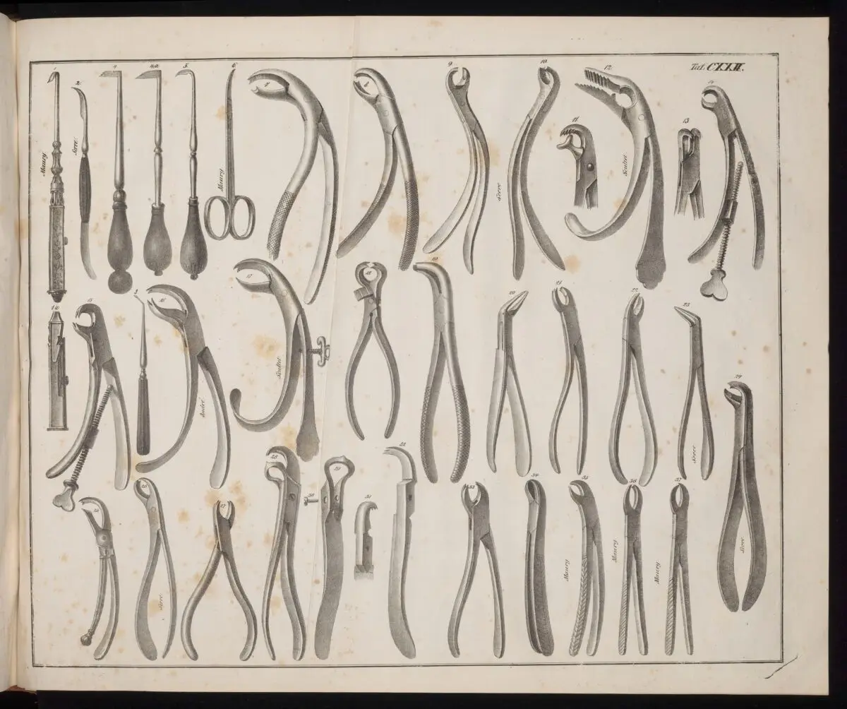 A variety of dental forceps and other dental instruments by Unknown artist