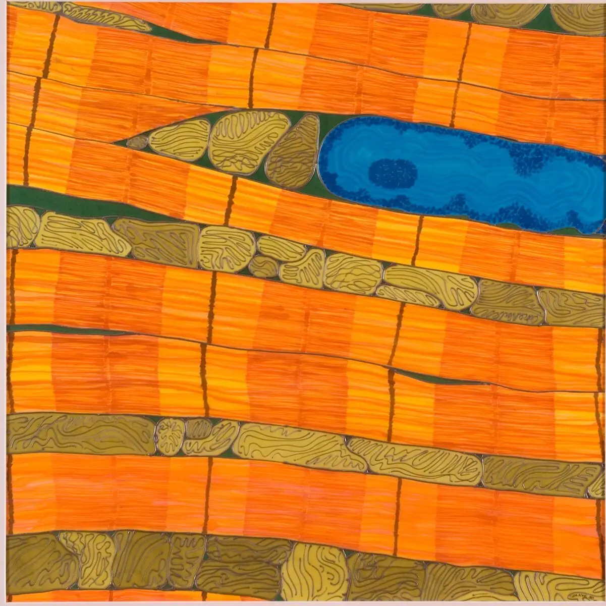 'The beating landscape' Cardiac Muscle by Odra Noel