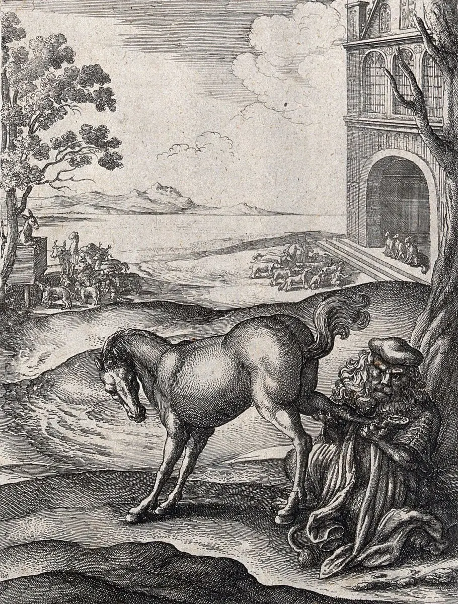 A lion dressed as a doctor is examining a horse's hoof; illustration of a fable by Aesop. Etching. by Aesop