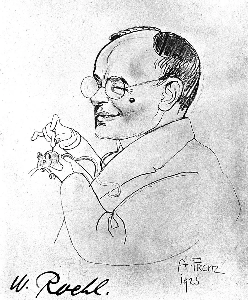 Portrait caricature of Wilhelm Roehl by A. Frenz, 1925 by A