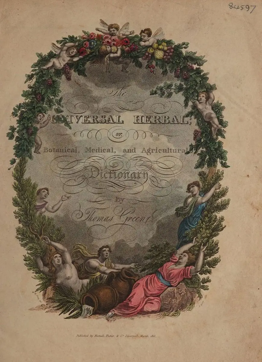 The universal herbal; or, botanical, medical, and agricultural dictionary / [Thomas Green]. by Thomas Green