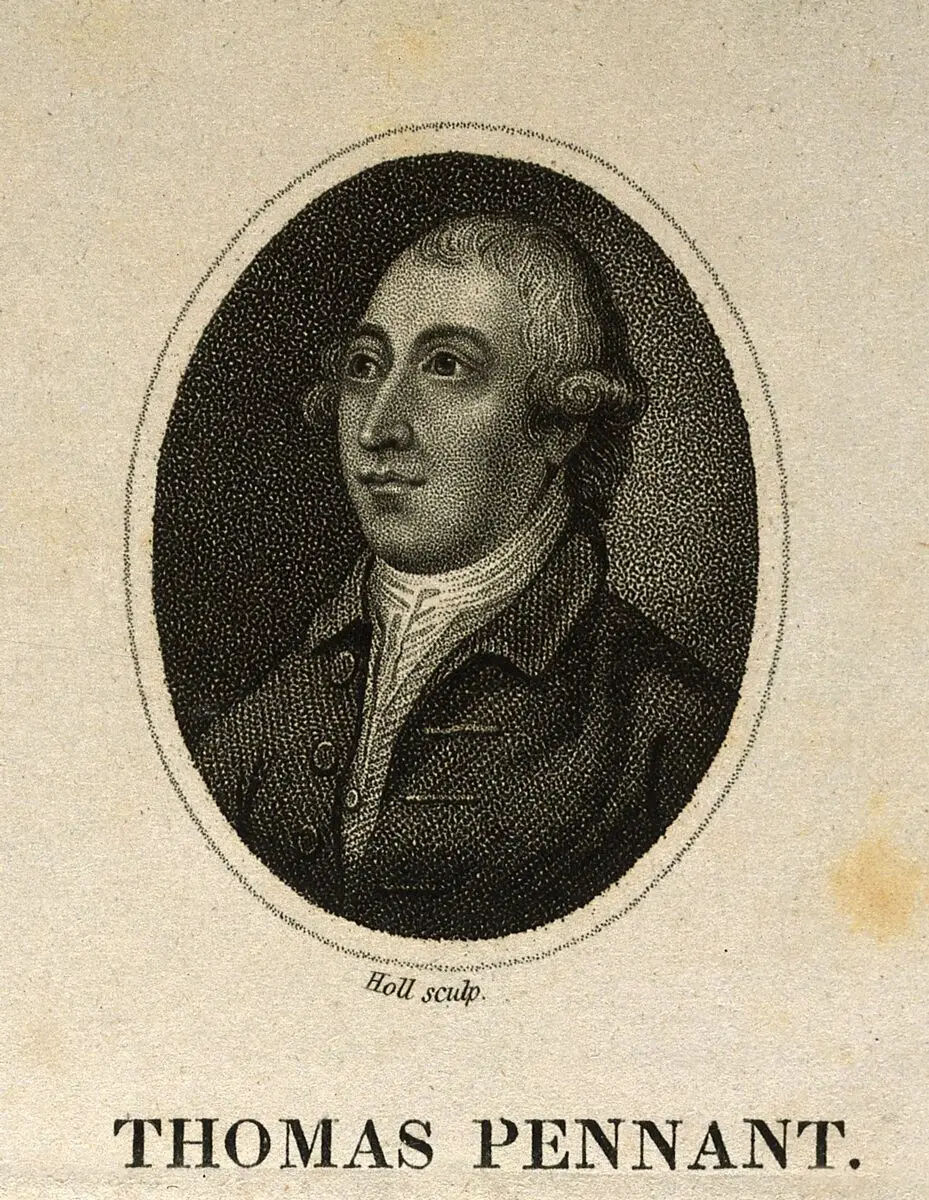 Thomas Pennant. Stipple engraving by Holl after T. Gainsborough, 1776. by Thomas Gainsborough