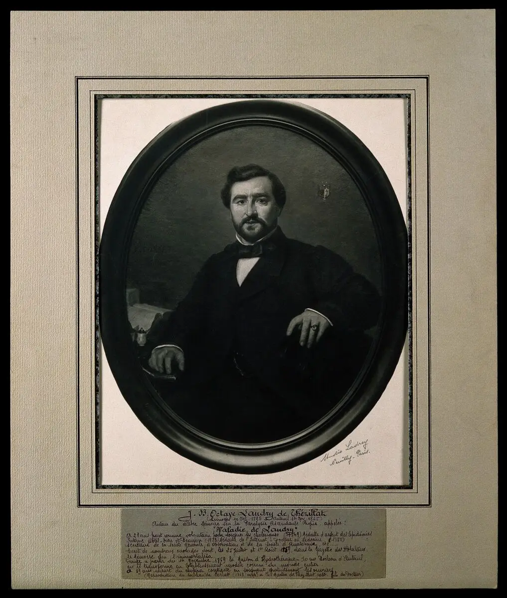 Jean-Baptiste Octave Landry de Thézillat. Photograph by Studio Lastrey of painting by G. Courbet, 1863. by Gustave Courbet