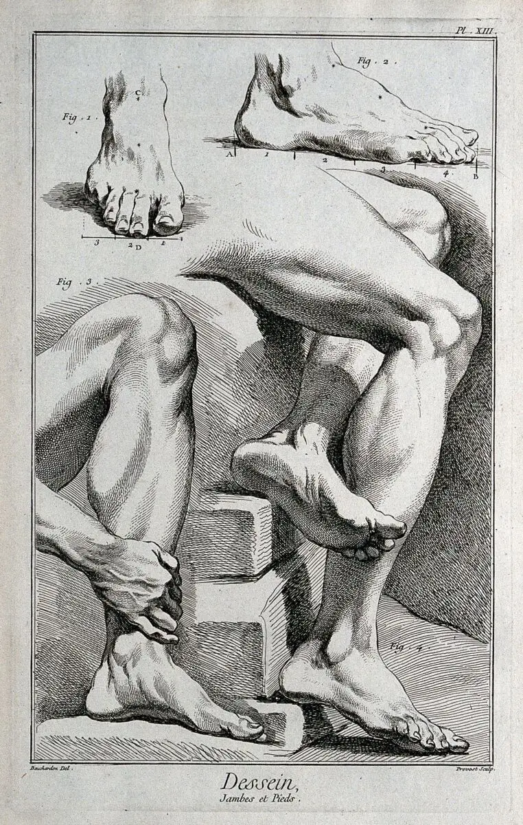 Feet and legs. Engraving by B.L. Prevost after E. Bouchardon. by Edme Bouchardon