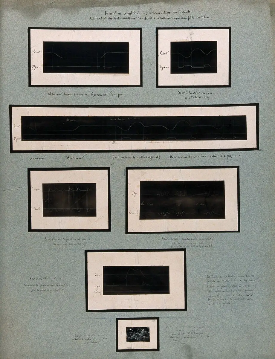 Variations of the pressure of feet on the ground and movements of the head, whilst running (?). Chart by Etienne-Jules Marey. by Étienne-Jules Marey