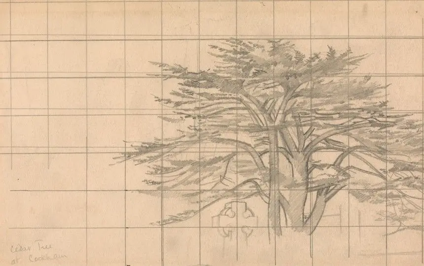 Study of a Cedar Tree by Sir Stanley Spencer, 1891–1959