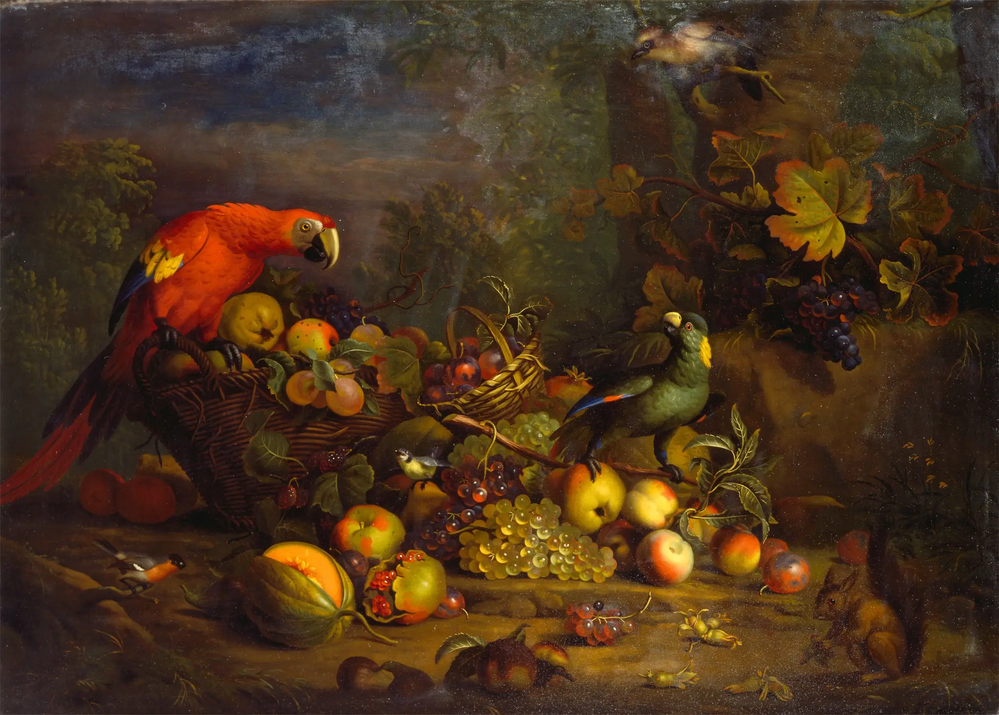 Scarlet Macaw, Yellow-naped Amazon, Eurasian Bullfinch, Blue Tit, Eurasian Jay, and Red Squirrel with Fruit Read more Read less by Tobias Stranover, 1684–after 1735