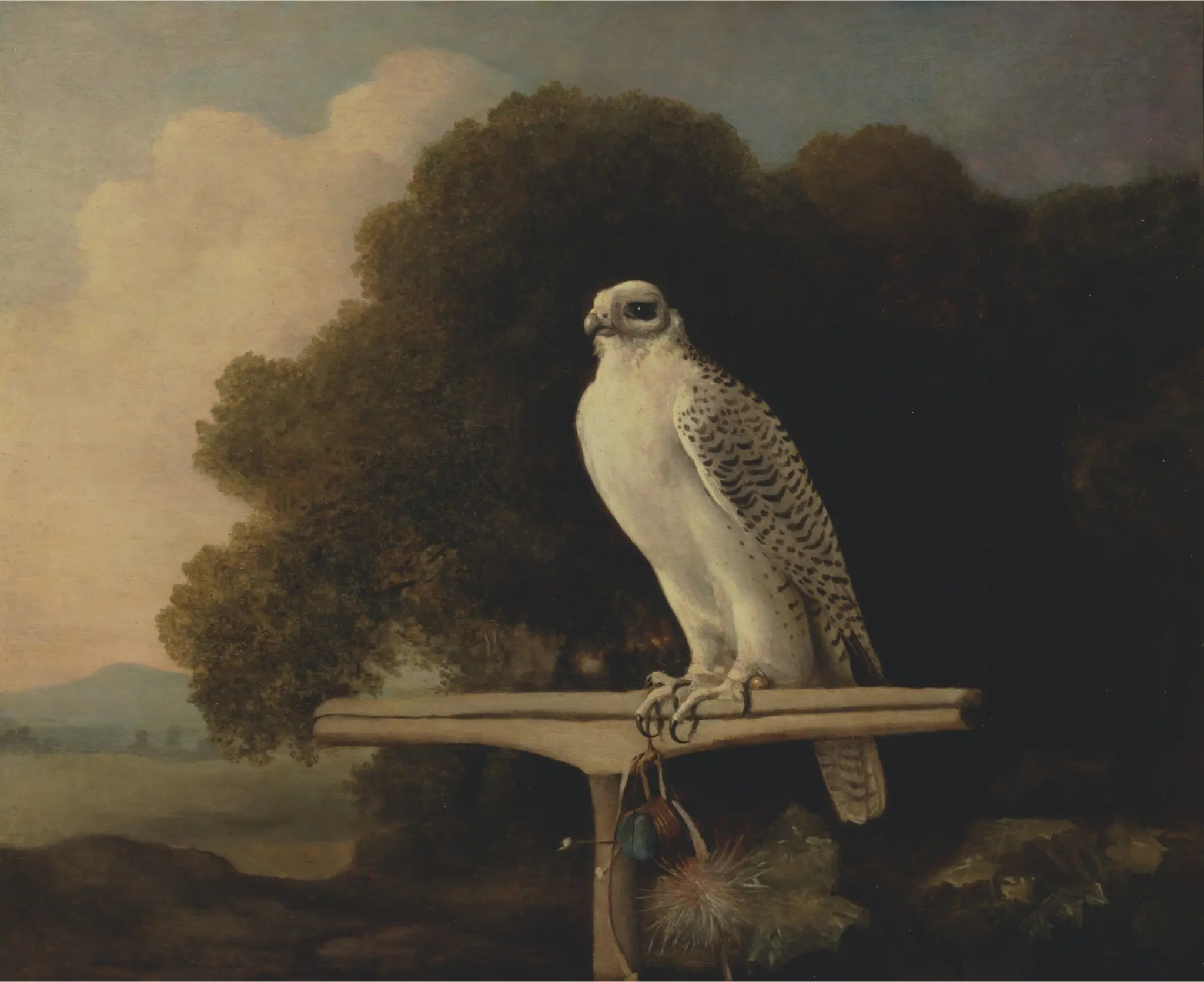 Greenland Falcon by George Stubbs, 1724–1806