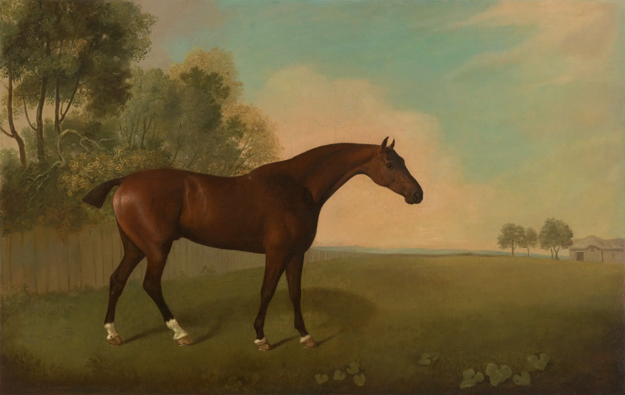 A Bay Horse in a Field by John Boultbee, 1753–1812